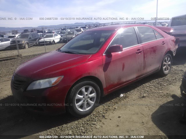 4T1BE46K38U198096 - 2008 TOYOTA CAMRY CE/LE/XLE/SE RED photo 2