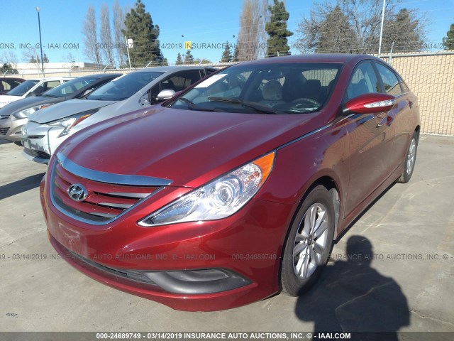 5NPEB4AC5EH946850 - 2014 HYUNDAI SONATA GLS RED photo 2