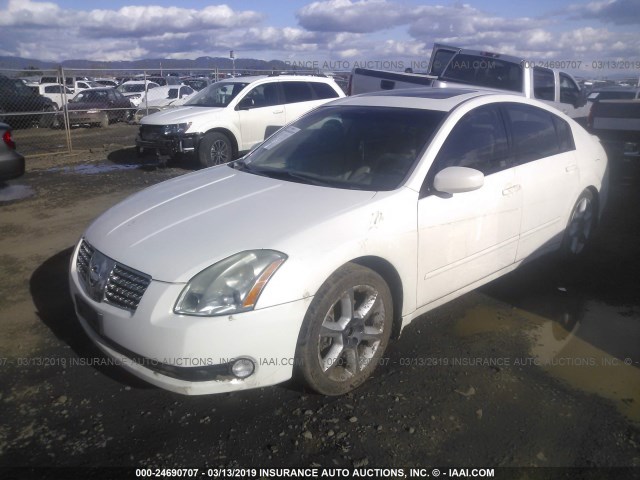 1N4BA41E64C816812 - 2004 NISSAN MAXIMA SE/SL WHITE photo 2