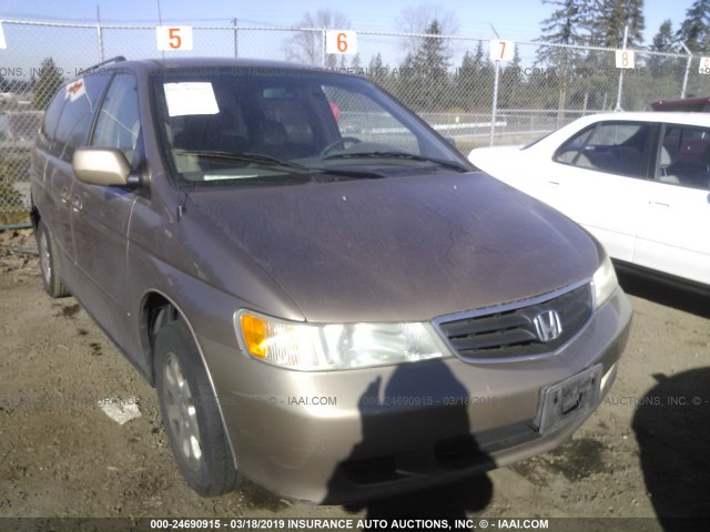 5FNRL18923B065106 - 2003 HONDA ODYSSEY EXL TAN photo 1