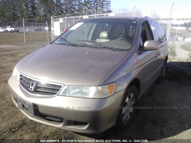 5FNRL18923B065106 - 2003 HONDA ODYSSEY EXL TAN photo 2