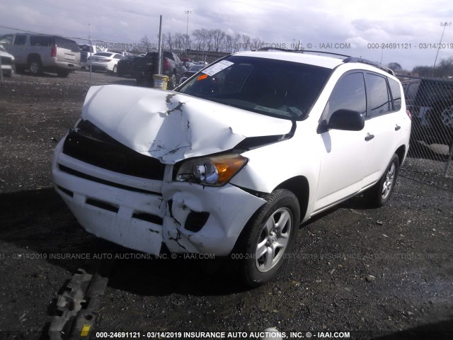 JTMZF4DV0A5020482 - 2010 TOYOTA RAV4 WHITE photo 2