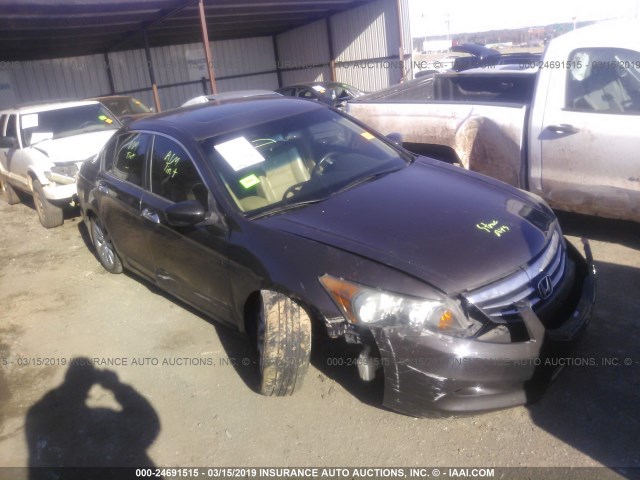 1HGCP3F85BA006558 - 2011 HONDA ACCORD EXL GRAY photo 1