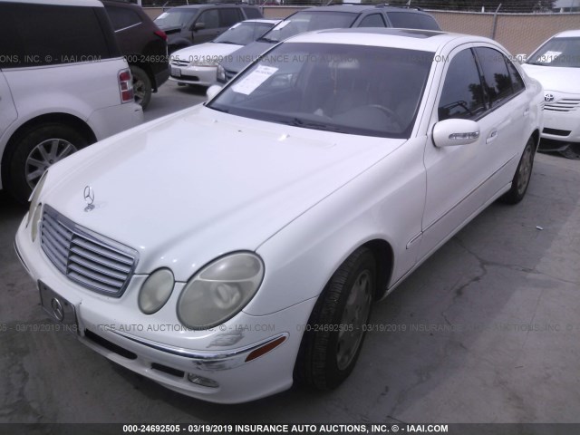 WDBUF65J13A275460 - 2003 MERCEDES-BENZ E 320 WHITE photo 2