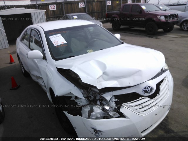 4T1BE46K49U823896 - 2009 TOYOTA CAMRY SE/LE/XLE WHITE photo 1