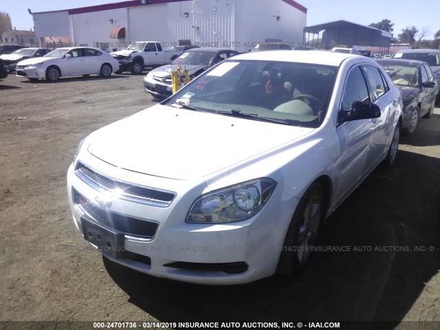 1G1ZA5E09CF340252 - 2012 CHEVROLET MALIBU LS WHITE photo 2