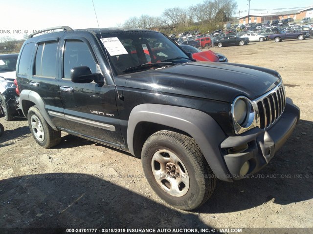 1J4GL48K73W639765 - 2003 JEEP LIBERTY SPORT/FREEDOM BLACK photo 1