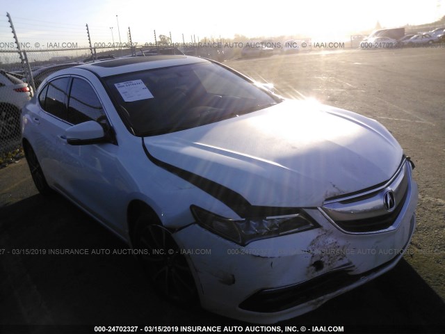 19UUB2F36HA002318 - 2017 ACURA TLX WHITE photo 1