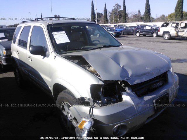 1FMCU94185KB24100 - 2005 FORD ESCAPE LIMITED GRAY photo 1