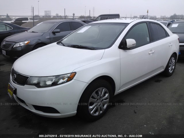 KNAFU4A26B5419155 - 2011 KIA FORTE EX WHITE photo 2