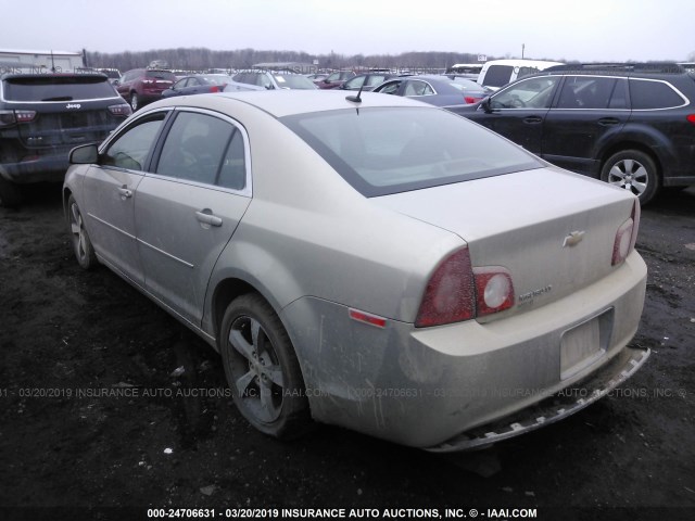 1G1ZC5E19BF295458 - 2011 CHEVROLET MALIBU 1LT 香槟色 照片 3