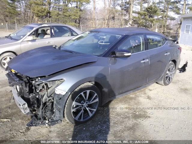 1N4AA6AP9HC440346 - 2017 NISSAN MAXIMA 3.5S/SV/SL/SR/PLAT GRAY photo 2