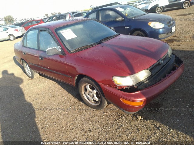 1NXAE09B9SZ263122 - 1995 TOYOTA COROLLA LE/DX BURGUNDY photo 1