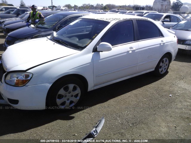 KNAFE122685580995 - 2008 KIA SPECTRA EX/LX/SX WHITE photo 2