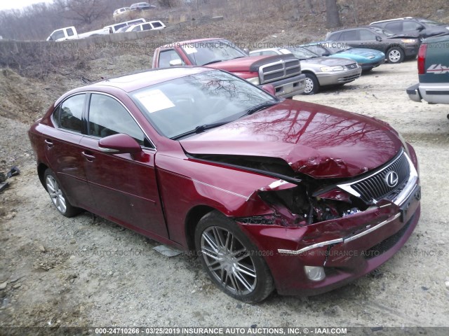 JTHCK262192030054 - 2009 LEXUS IS 250 RED photo 1