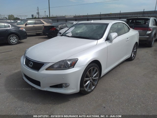 JTHFF2C23D2528707 - 2013 LEXUS IS 250 WHITE photo 2