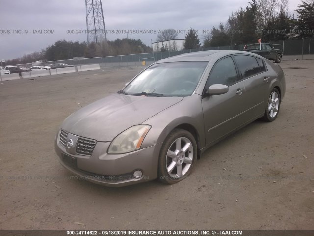 1N4BA41E45C835540 - 2005 NISSAN MAXIMA SE/SL GOLD photo 2