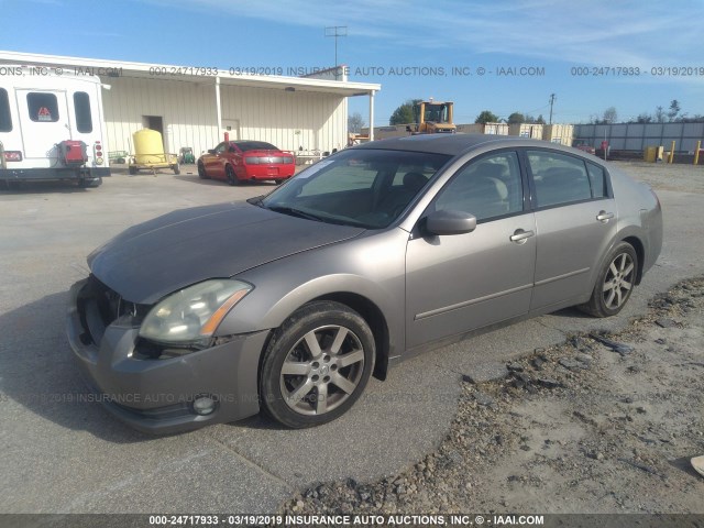 1N4BA41E84C869995 - 2004 NISSAN MAXIMA SE/SL TAN photo 2