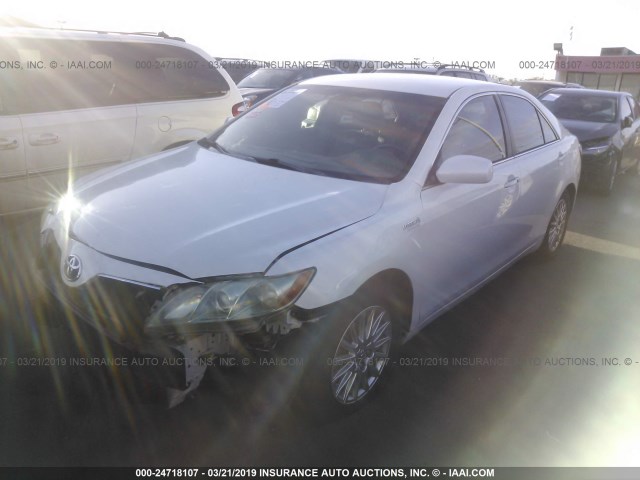 4T1BB46K49U079452 - 2009 TOYOTA CAMRY HYBRID WHITE photo 2