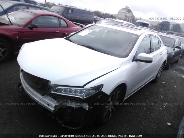 19UUB1F39FA018889 - 2015 ACURA TLX WHITE photo 2