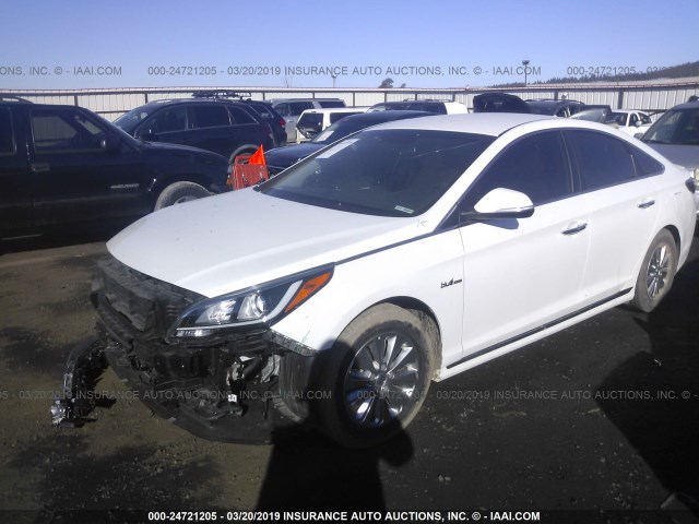 KMHE24L31HA066653 - 2017 HYUNDAI SONATA HYBRID/SE WHITE photo 2