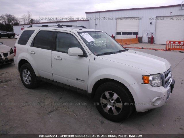 1FMCU49339KA17622 - 2009 FORD ESCAPE HYBRID WHITE photo 1