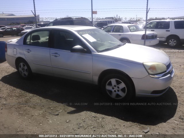 1G1ZT54825F277001 - 2005 CHEVROLET MALIBU LS ვერცხლისფერი ფოტო 1