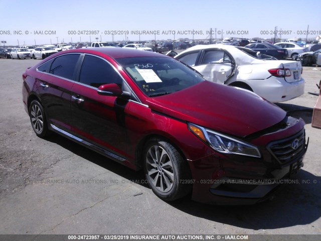 5NPE34AF1FH051896 - 2015 HYUNDAI SONATA SPORT/LIMITED RED photo 1