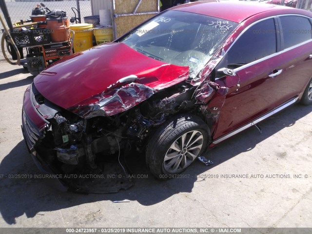 5NPE34AF1FH051896 - 2015 HYUNDAI SONATA SPORT/LIMITED RED photo 6