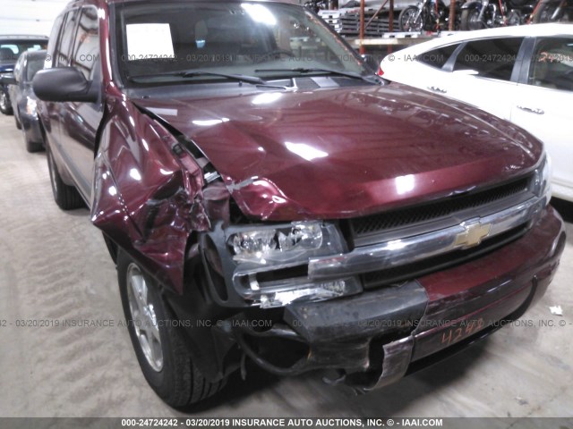 1GNDT13S852256238 - 2005 CHEVROLET TRAILBLAZER LS/LT BURGUNDY photo 6