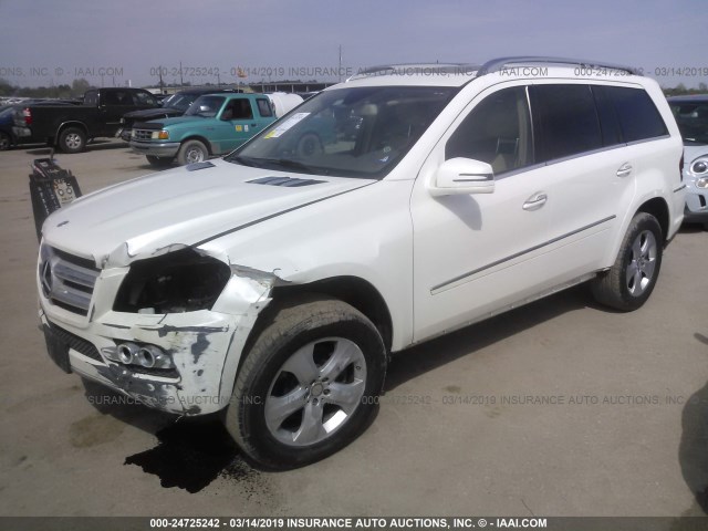 4JGBF7BE7BA740131 - 2011 MERCEDES-BENZ GL 450 4MATIC WHITE photo 2