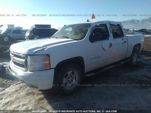 3GCPKSE35BG356451 - 2011 CHEVROLET SILVERADO K1500 LT WHITE photo 2