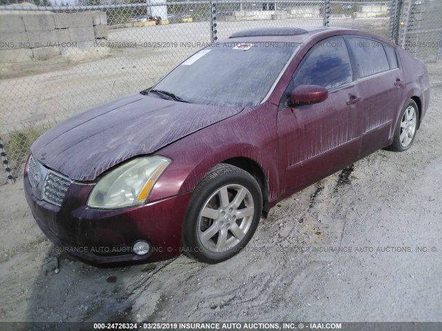 1N4BA41E14C894348 - 2004 NISSAN MAXIMA SE/SL MAROON photo 2