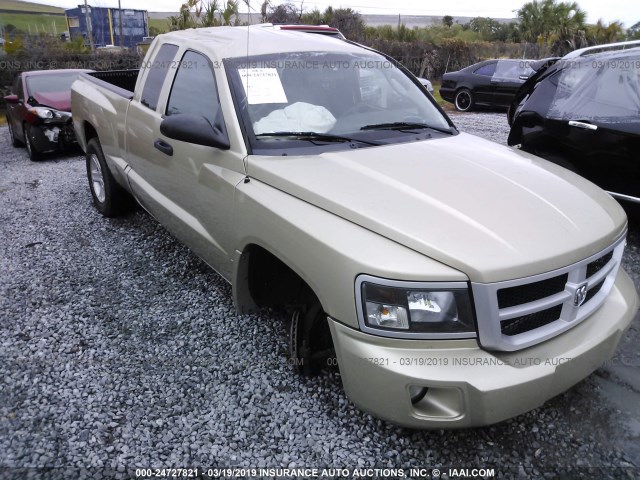 1D7RE3BK6BS701325 - 2011 DODGE DAKOTA SLT GOLD photo 1