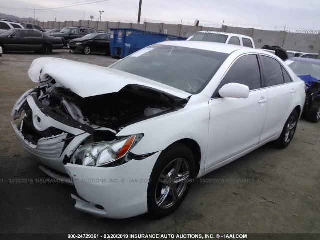 4T1BE46K77U698065 - 2007 TOYOTA CAMRY NEW GENERAT CE/LE/XLE/SE WHITE photo 2