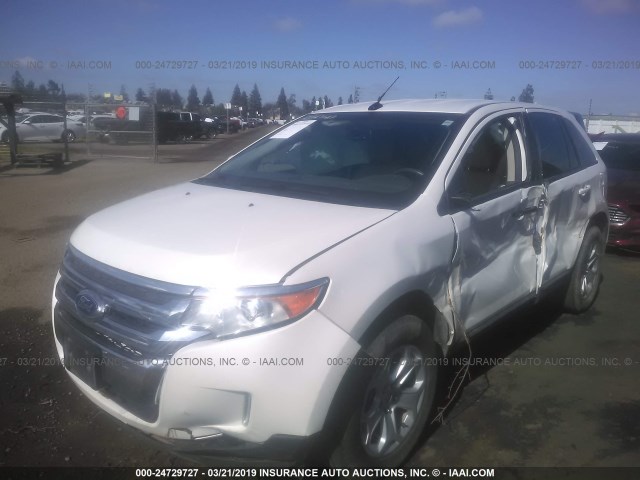 2FMDK3JC6EBB56518 - 2014 FORD EDGE SEL WHITE photo 2