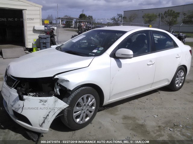 KNAFU4A28D5711781 - 2013 KIA FORTE EX WHITE photo 2