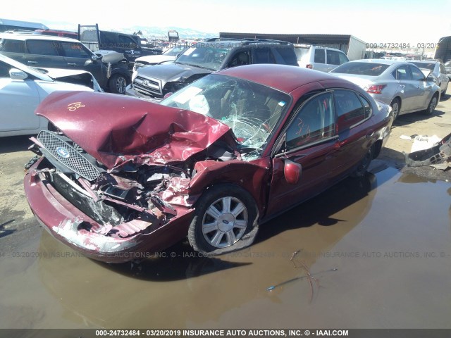 1FAFP56U87A156116 - 2007 FORD TAURUS SEL MAROON photo 2