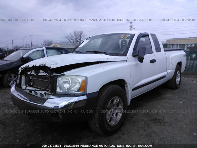 1D7HW42N85S159240 - 2005 DODGE DAKOTA SLT WHITE photo 2