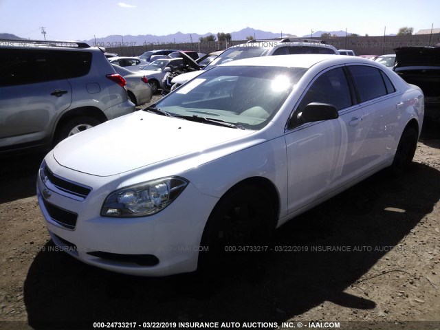 1G1ZB5E05CF218064 - 2012 CHEVROLET MALIBU LS WHITE photo 2