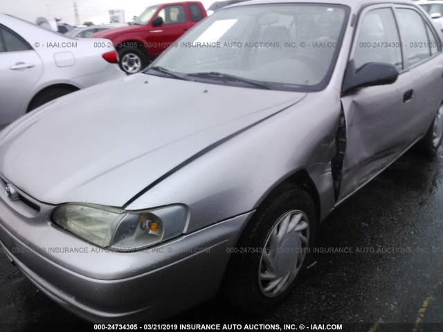 1NXBR12E4WZ129966 - 1998 TOYOTA COROLLA VE/CE/LE GOLD photo 6