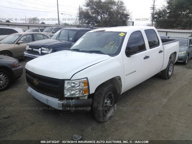 3GCPCPEA5DG155421 - 2013 CHEVROLET SILVERADO C1500 WHITE photo 2