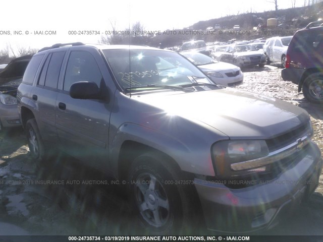 1GNDT13S562100417 - 2006 CHEVROLET TRAILBLAZER LS/LT Pewter photo 1