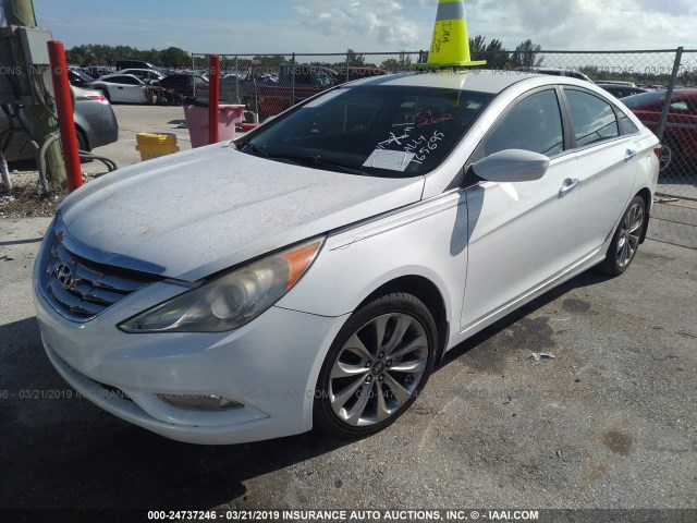 5NPEC4AC2BH165695 - 2011 HYUNDAI SONATA SE/LIMITED WHITE photo 2