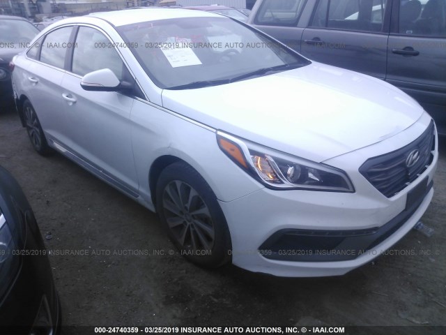 5NPE34AF1FH064664 - 2015 HYUNDAI SONATA SPORT/LIMITED WHITE photo 1