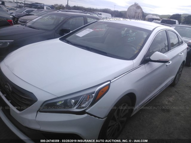 5NPE34AF1FH064664 - 2015 HYUNDAI SONATA SPORT/LIMITED WHITE photo 2