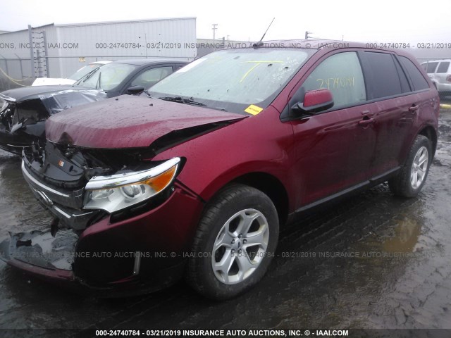 2FMDK3JC1DBB02445 - 2013 FORD EDGE SEL PURPLE photo 2