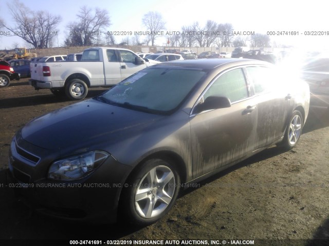 1G1ZA5EU7CF293418 - 2012 CHEVROLET MALIBU LS TAN photo 2