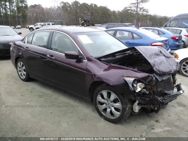 1HGCP26848A040638 - 2008 HONDA ACCORD EXL Bordo foto 1