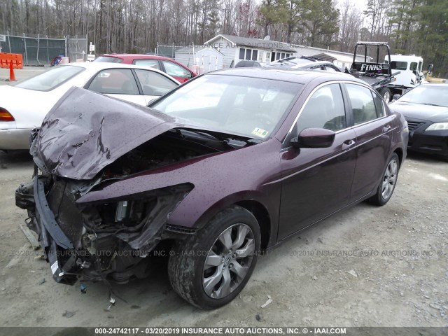 1HGCP26848A040638 - 2008 HONDA ACCORD EXL Bordo foto 2